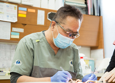 科学的根拠に基づいた治療